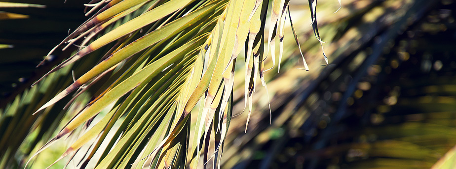 短信网页在线轰炸源码