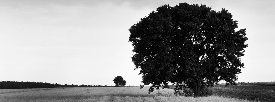 短信轰炸业务网